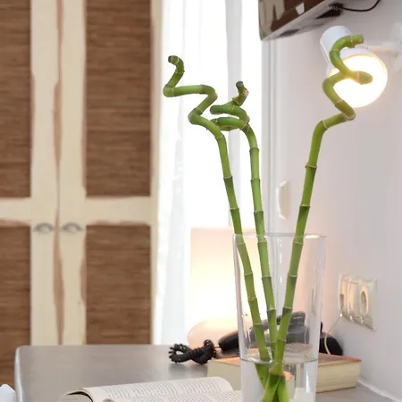 The Saint Vlassis Hotel Naxos City