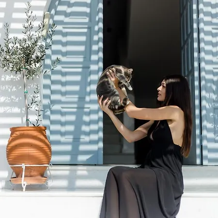 The Saint Vlassis Naxos City