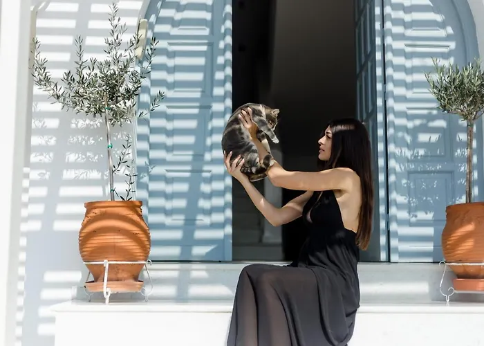 The Saint Vlassis Naxos City